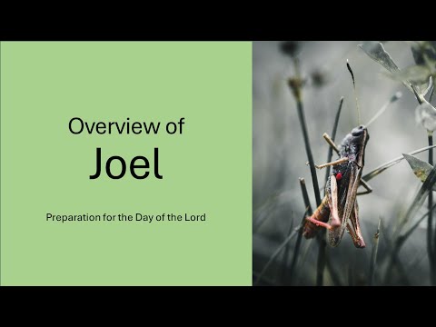 Overview of the Prophet Joel