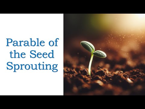 Parables of the Seed Sprouting and What Defiles a Man