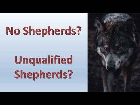 The Effects of Local Congregations Not Having Qualified Elders