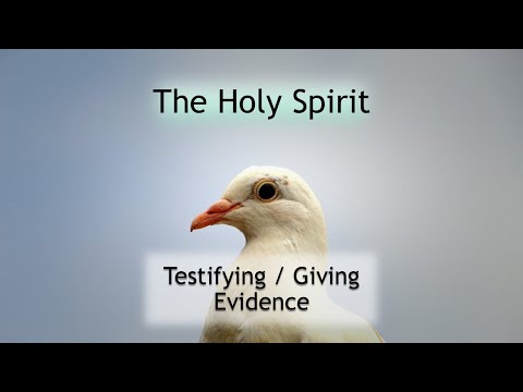 The Holy Spirit Testifies